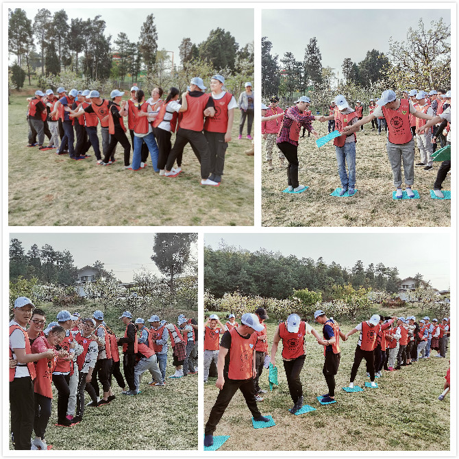 1616568465113362.jpg 1616568465113362.jpg